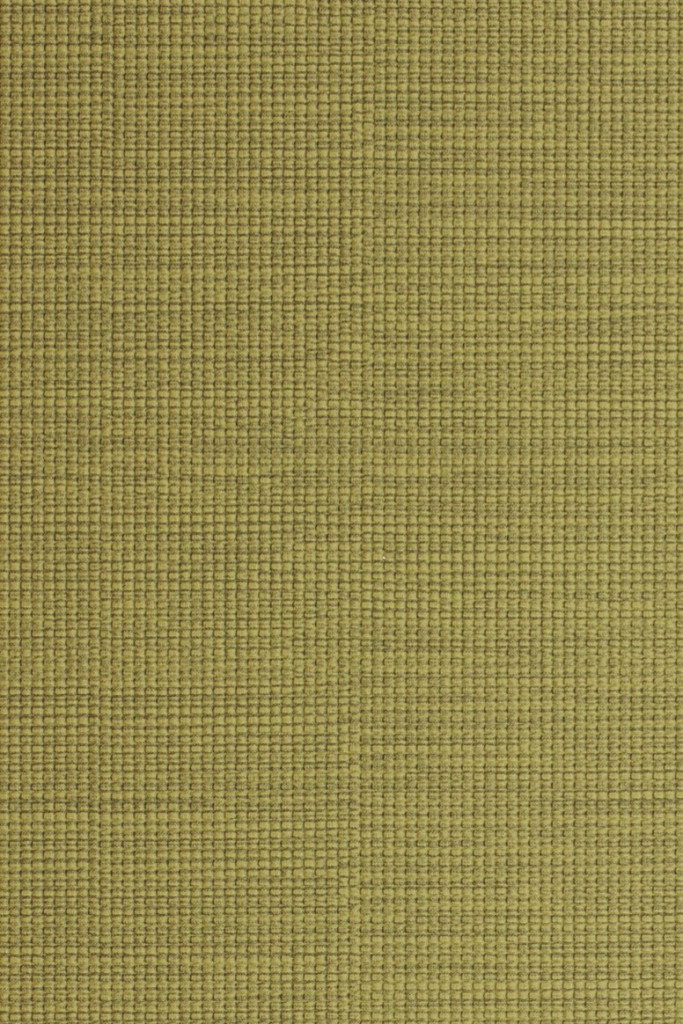 Viper Vintage Parrot